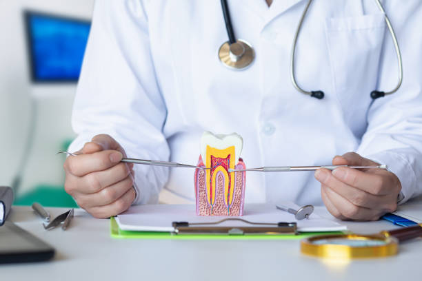 Best Emergency Tooth Extraction in Rose, LA